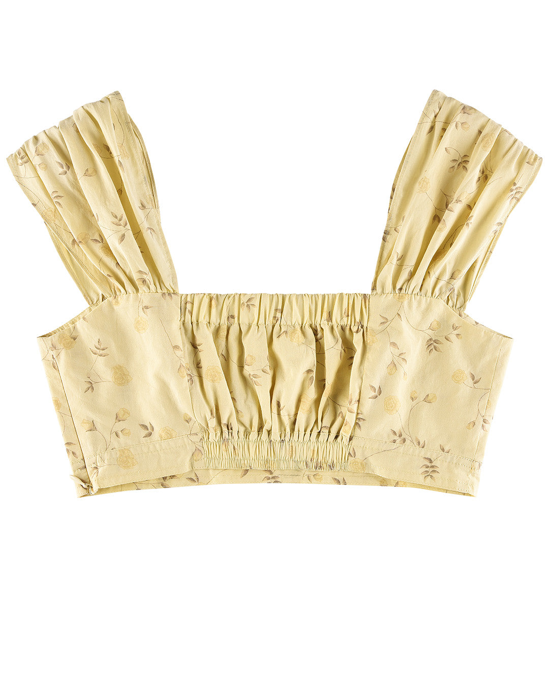 Field Crop - Dream Vine