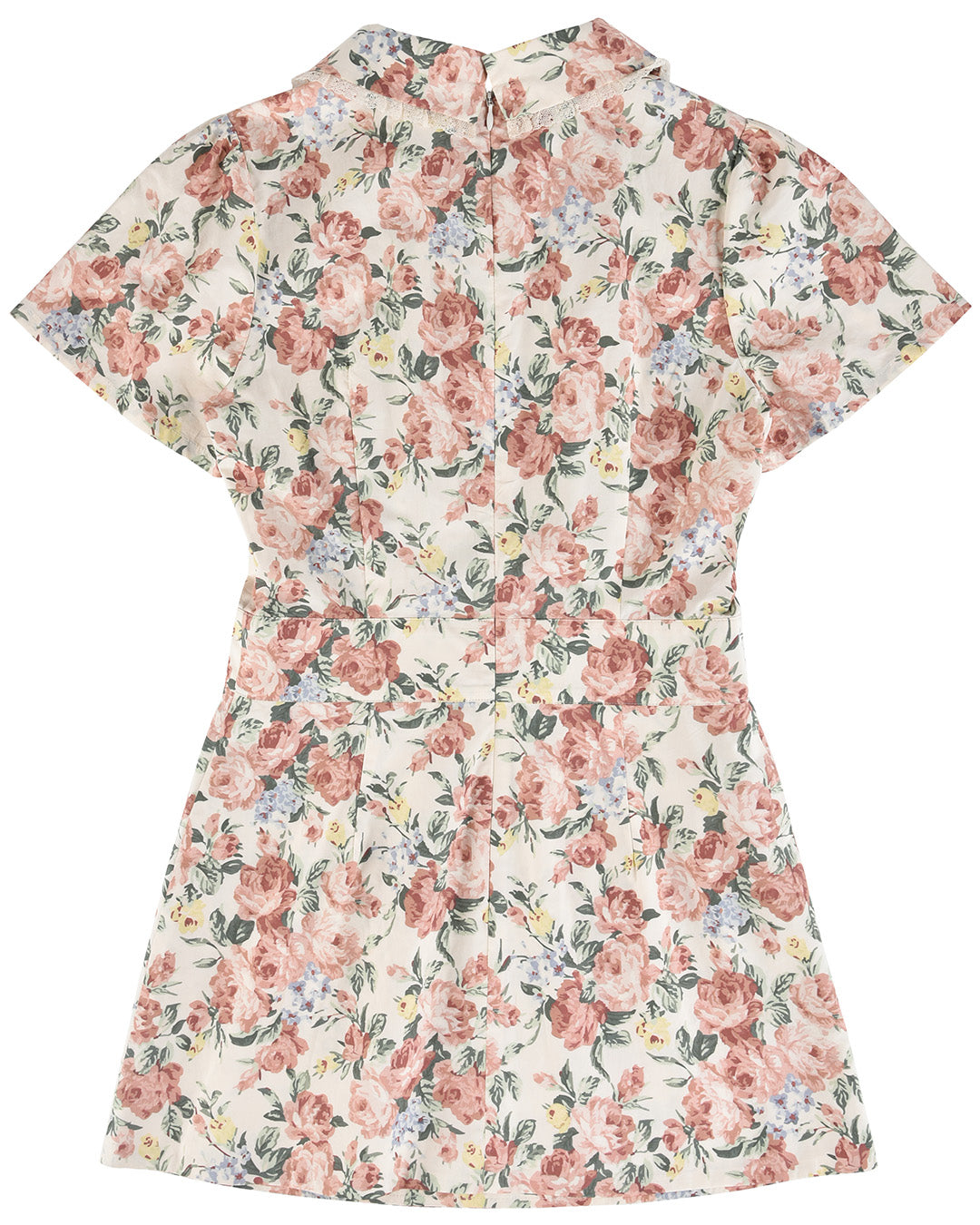 Petalle Collar Mini Dress - Secret Garden